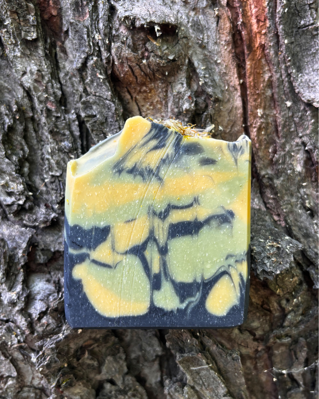 Dandelion Detox Soap