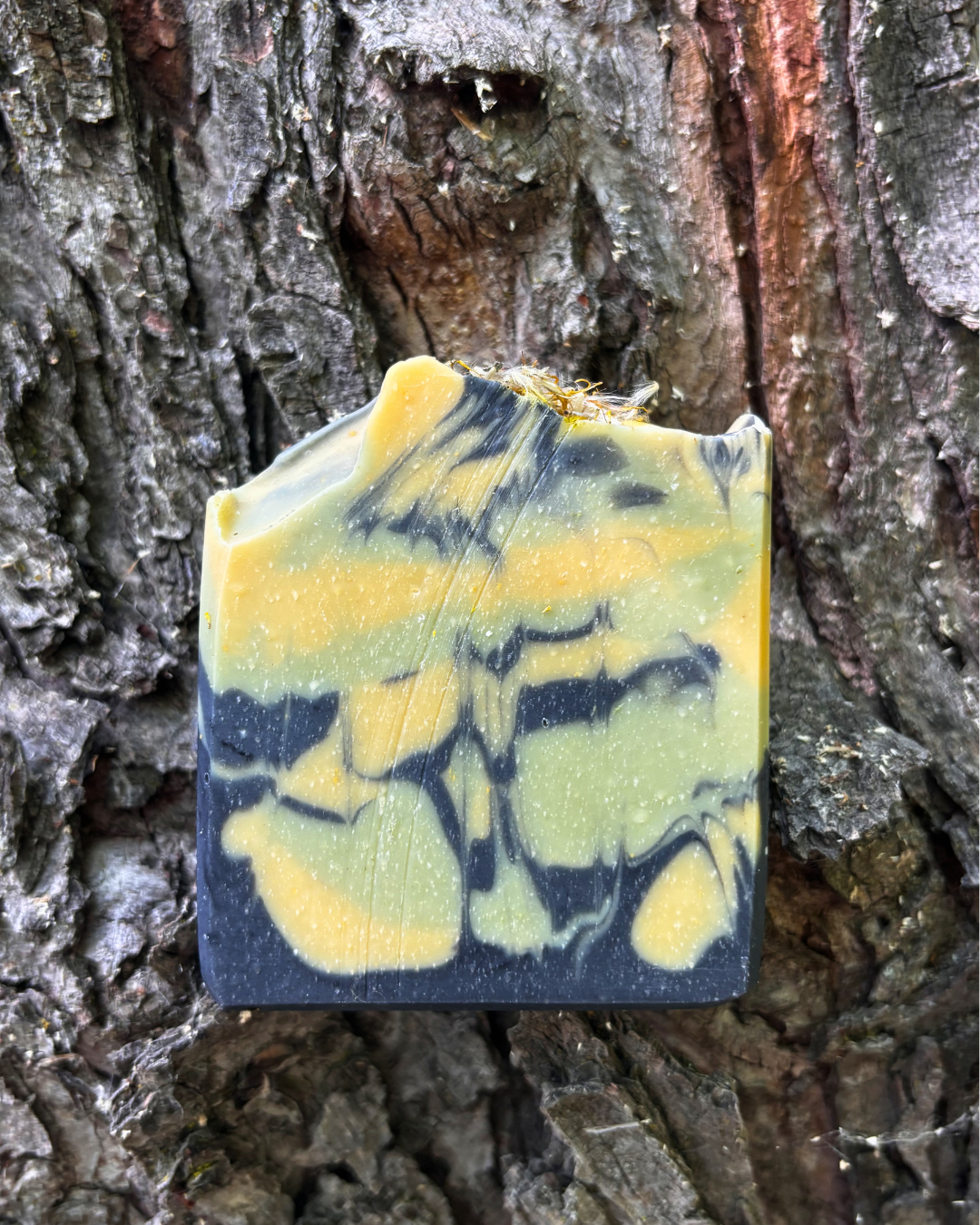 Dandelion Detox Soap